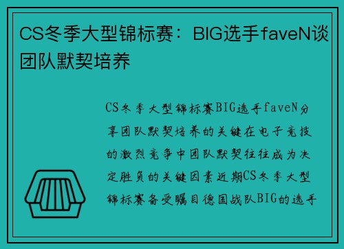 CS冬季大型锦标赛：BIG选手faveN谈团队默契培养