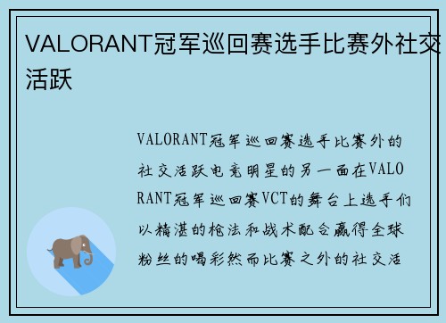 VALORANT冠军巡回赛选手比赛外社交活跃